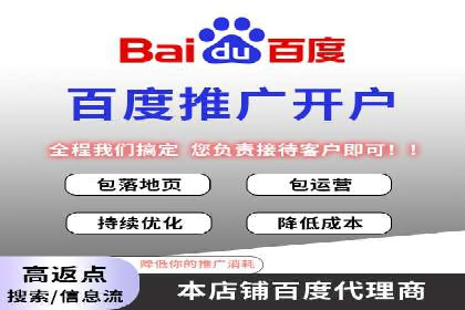 SEM推广在本地化服务中的应用案例